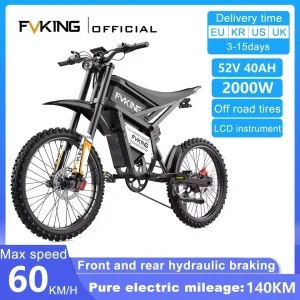 Adult Electric Bike 3000